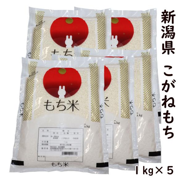もち米 新潟県 こがねもち 1kg×５ 令和7年産 最高級品もち米 送料無料 単一原料米 赤飯 お正...