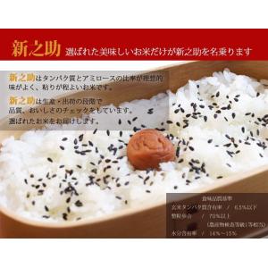 お米 新之助 20kg(5kg×4) 令和7年...の詳細画像2