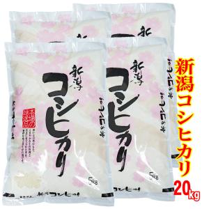 コシヒカリ 新米 令和8年産 新潟 魚沼産 こしひかり 10kg (5kg×2) 米