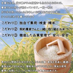 新潟県産コシヒカリ 20kg (5kg×4) ...の詳細画像1