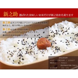 お米 新潟産 新之助 2kg 産地直送米 令和...の詳細画像2