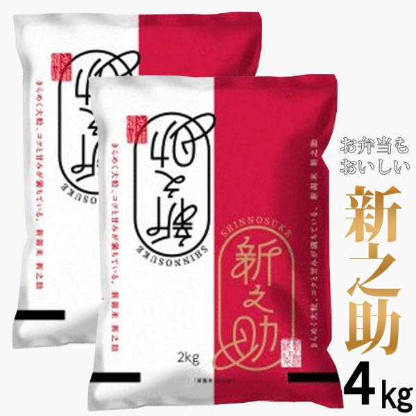 新米 お米マイスター厳選1等米  令和7年産 新之助 4kg(2kg×2)  白米 精米仕立て発送 ...