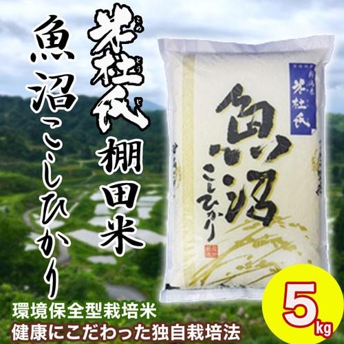 新米 お米 米 魚沼産 棚田米 こしひかり 5kg 米杜氏ブランド 送料無料 令和7年産 単一原料米...