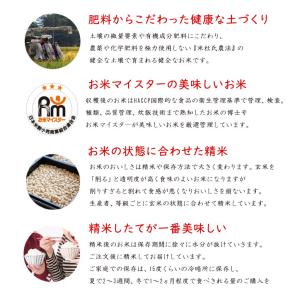 お米 米 魚沼産 こしひかり 5kg 米杜氏ブ...の詳細画像1