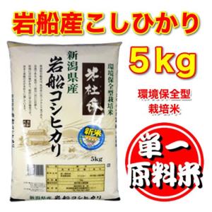 コシヒカリ 新潟三大コシヒカリ 岩船産コシヒカリ 10kg (5kg×2) 令和7