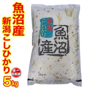 コシヒカリ セール お米 米 令和6年産 新潟県産コシヒカリ 5kg