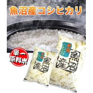 食味分析80点以上 五ツ星お米マイスター厳選米...の詳細画像1