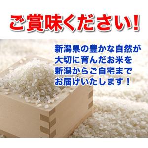 食味分析80点以上 五ツ星お米マイスター厳選米...の詳細画像2