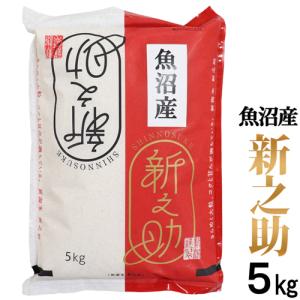 お米 米 魚沼産 新之助 5kg 令和5年産 白米 精米 産地直送米 1等米 新潟最高ブランド 精米日新しいです 低温倉庫管理米