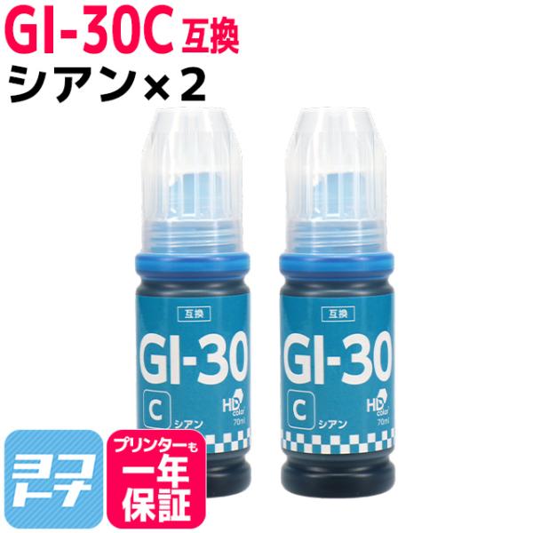 GI-30 キャノン(Canon) シアン×2 互換インクボトル 内容：GI-30C 対応機種：G7...