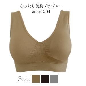 7月17日限定送料無料2枚セット 乳がん用 ブラジャー ゆったり美胸ブラジャー 全摘 温存 再建 術後 乳ガン 乳癌用 ブラ 下着 肌着 anne-1264 2枚組
