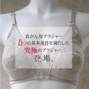 乳がん 後加工パット入れ付 ブラジャー ABC フルカップ アンダーメッシュ ノンワイヤー 乳ガン 乳がん用 手術後 全摘 温存 再建 検診 anne-1507｜yokohamaanne