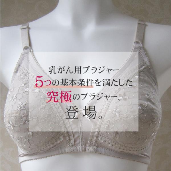 乳がん 後加工パット入れ付 ブラジャー ABC フルカップ アンダーメッシュ ノンワイヤー 乳ガン ...