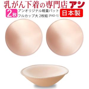 乳がん用 パット 日本製 軽い パッド ウレタンフォーム使用 手術後 全適用 フルカップ大 空洞タイプ２枚組 pad-1