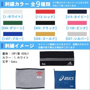 名入れ1段付き リュック アンダーアーマー バ...の詳細画像5