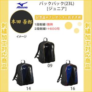 (名入れ1段無料) 野球 リュック バッグ ジュニア 刺繍