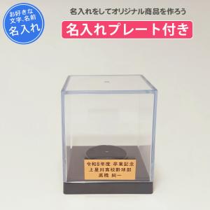 (名入れ付き) サインボールケース 野球 ミズノ ボールケース 卒業記念品 卒部記念品 記念品 卒団 サインボール用ケース 1GJYB30000｜yokohamariverup