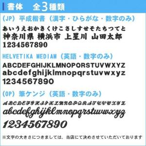 名入れできます 野球バック リュック デサント...の詳細画像5