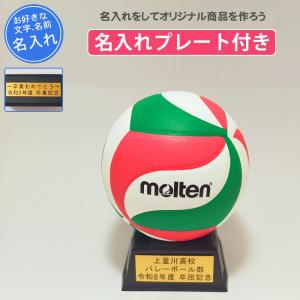 ラグビー カンタベリー キーホルダー 9個セット ラグビー カンタベリー キーホルダー 9個セット ラグビー