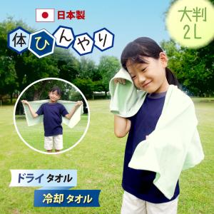 ネッククーラー 東レ エアロタッシェ 大判 クー...の商品画像