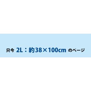 ネッククーラー 東レ エアロタッシェ 大判 ク...の詳細画像1