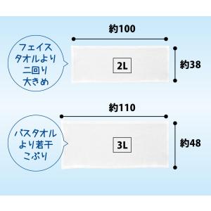 ネッククーラー 東レ エアロタッシェ 大判 ク...の詳細画像4
