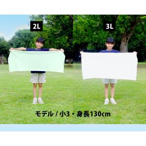 ネッククーラー 東レ エアロタッシェ 大判 ク...の詳細画像5
