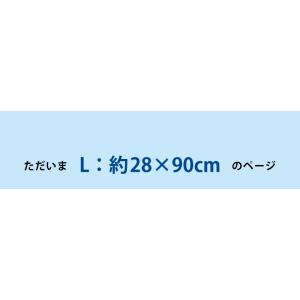 ネッククーラー 東レ エアロタッシェ クールタ...の詳細画像1