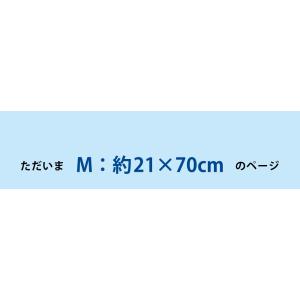 ネッククーラー 東レ エアロタッシェ クールタ...の詳細画像1