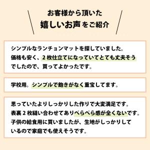 ランチョンマット 色が選べる 3枚セット 大判...の詳細画像4