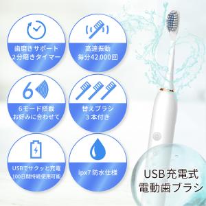 電動歯ブラシ 替えブラシ3本付き usb 充電...の詳細画像2