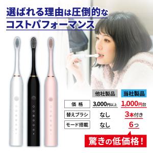 電動歯ブラシ 替えブラシ3本付き usb 充電...の詳細画像1