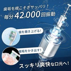 電動歯ブラシ 替えブラシ3本付き usb 充電...の詳細画像3