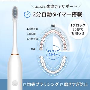 電動歯ブラシ 替えブラシ3本付き usb 充電...の詳細画像4