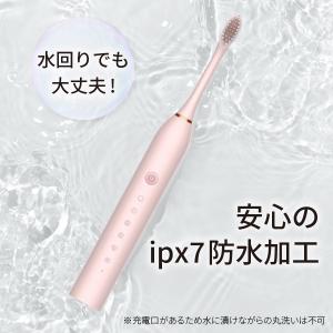 電動歯ブラシ 替えブラシ3本付き usb 充電...の詳細画像5