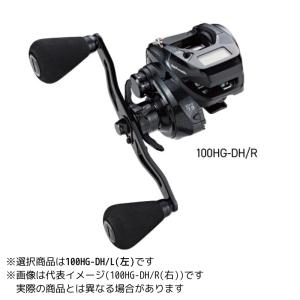 tailwalk テイルウォーク 100HG-DH/R VILAYER DG (ヴィレイヤー
