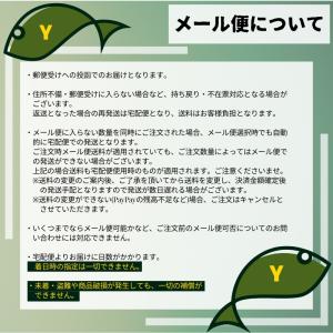 【メール便対応】【在庫限り大特価】マルシン漁具...の詳細画像4