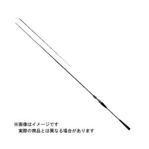 DAIWA（ダイワ） 瞬鋭テンヤタチウオEX 91H-160 【大型商品3
