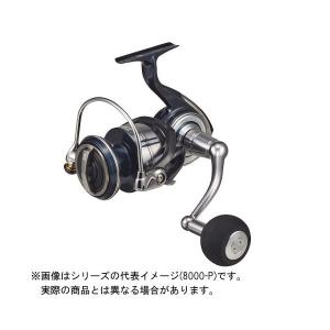 DAIWA(釣り) ダイワ 21 セルテート SW 8000-P (2021年モデル DAIWA(釣り) ダイワ 21 セルテート SW 8000-P (2021年モデル