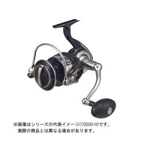DAIWA（釣り） ダイワ 21 セルテート SW 10000-P (2021年モデル