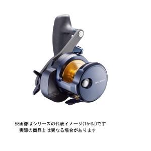 DAIWA（釣り） ダイワ 22 ソルティガ 15 (右ハンドル) 2023年追加