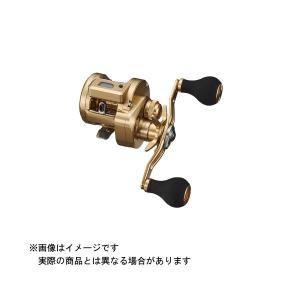 ダイワ ソルティガIC 100H-DH (右巻き) 23年追加番手 2023年新 ダイワ ソルティガIC 100H-DH (右巻き) 23年追加番手 2023年新