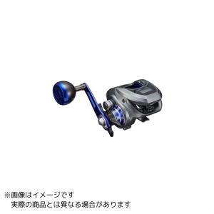 DAIWA（ダイワ） ライト SW X IC SS (船用 両軸リール イカメタル