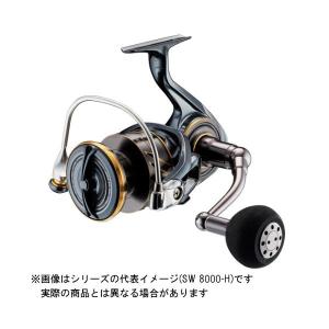 DAIWA(釣り) ダイワ カルディアSW 8000-H (2022年新製品 DAIWA(釣り) ダイワ カルディアSW 8000-H (2022年新製品