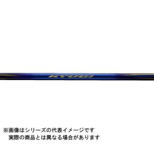 DAIWA 銀影競技SP  TYPE S 90.Q ダイワ(Daiwa) 銀影競技 スペシャル TYPE S 90 Q 2022年新製品