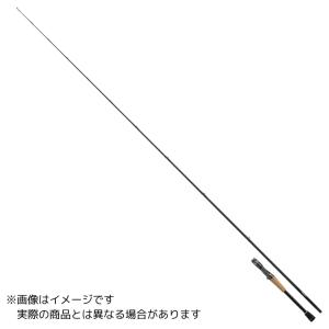 ダイワ スティーズ 記載無保証書S66L SKYFLASH 66 ダイワ スティーズ 記載無保証書S66L SKYFLASH 66