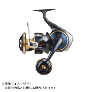 25 ソルティガ 10000-Pの商品画像