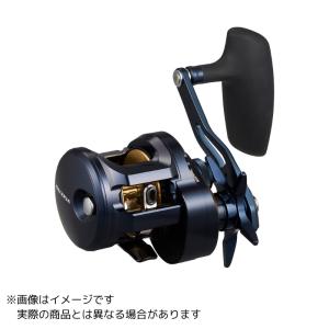 25 ソルティガ 300Lの商品画像