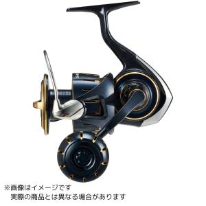 ダイワ　10ソルティガ　5000 SALTIGA 23 ソルティガ 5000-P 431852* ダイワ : カツキネットヤフー店