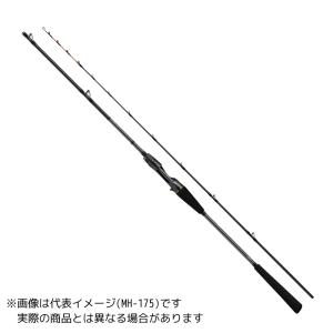 DAIWA（ダイワ） 【目玉商品】ダイワ メタリア タチウオ ゲーム H-175